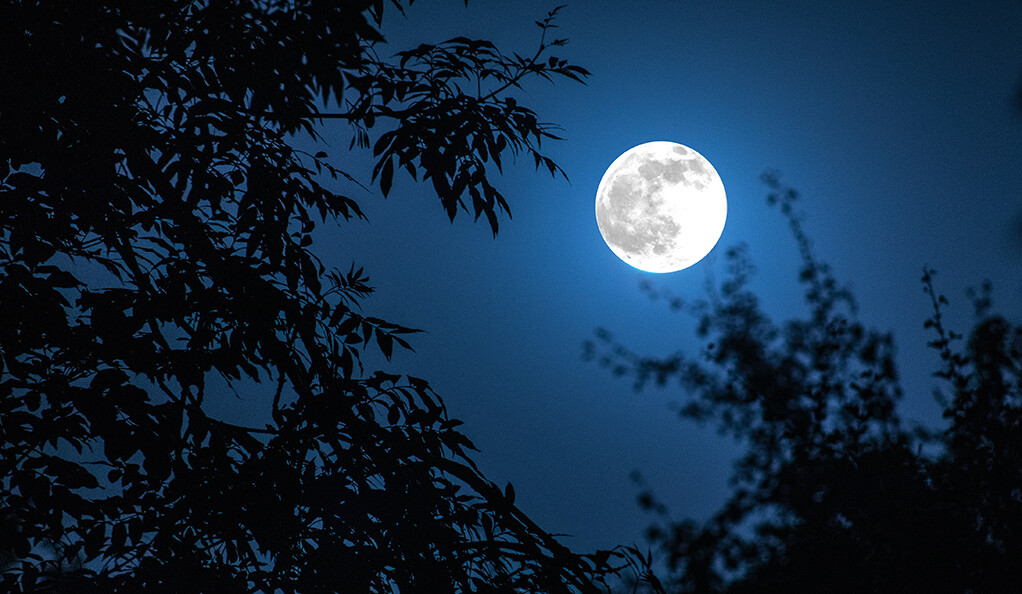 You are currently viewing Observatório fará transmissão ao vivo de imagens da Lua Cheia nesta terça, 27 de abril